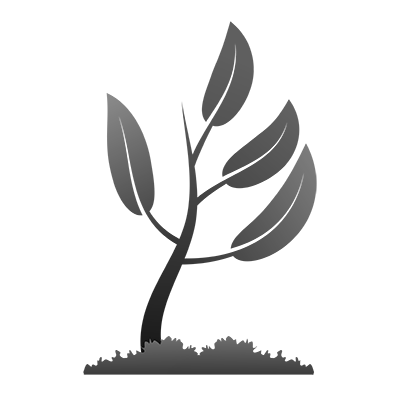 Ель сербская (Picea omorika Nana C5 20-25)
