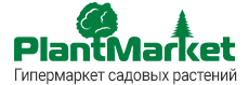 PlantMarket - интернет магазин садовых растений